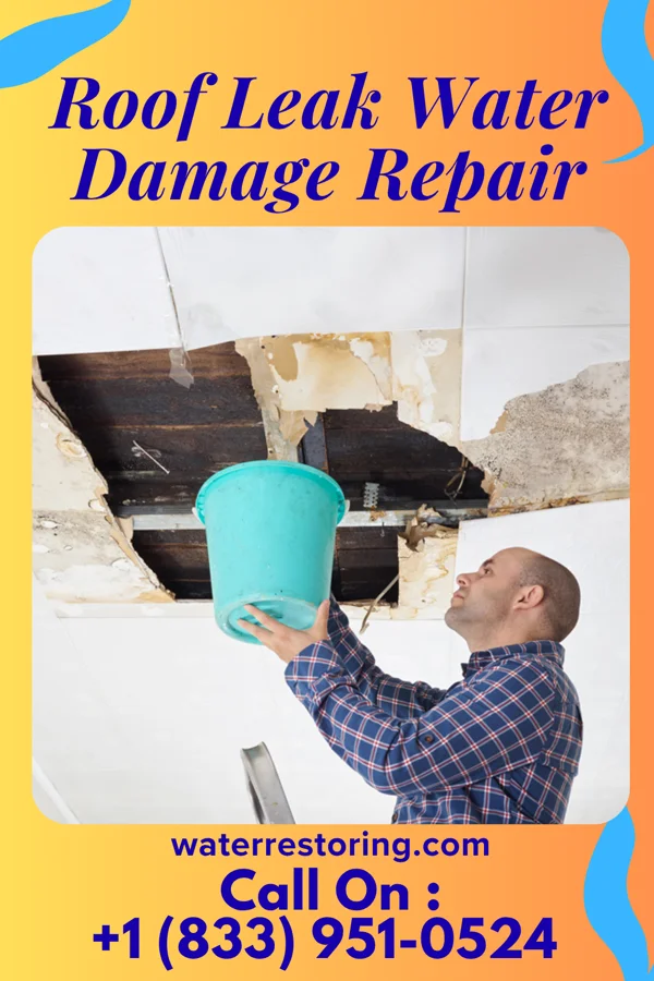 Roof Leak Water Damage Repair in Diablo Grande, CA